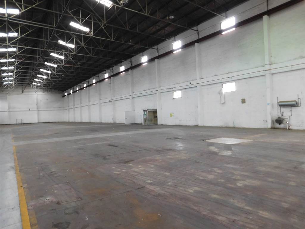 4200  m² Commercial space in Jacobs photo number 4