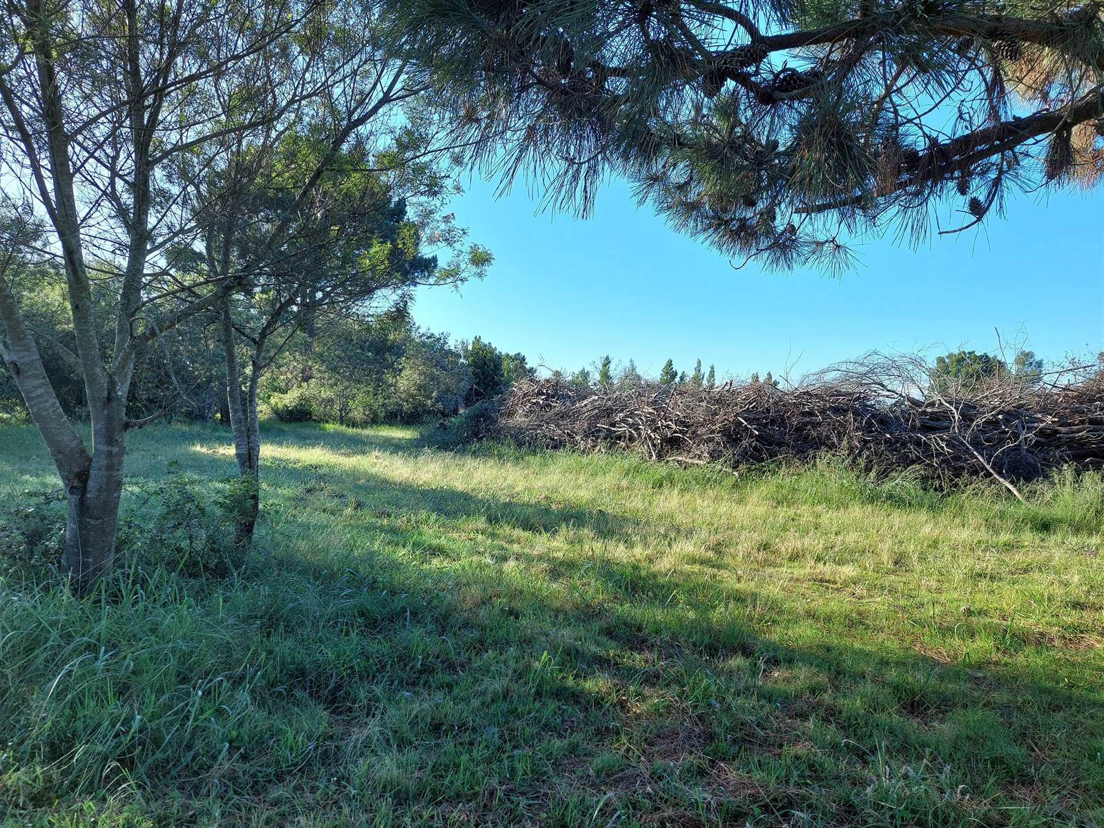 3.2 ha Land available in Hoekwil photo number 3