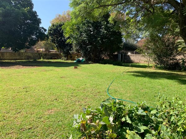 1000 m² Land available in Houghton Estate