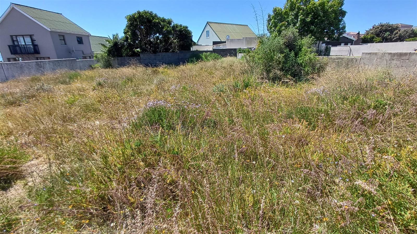 1109 m² Land available in Myburgh Park photo number 9