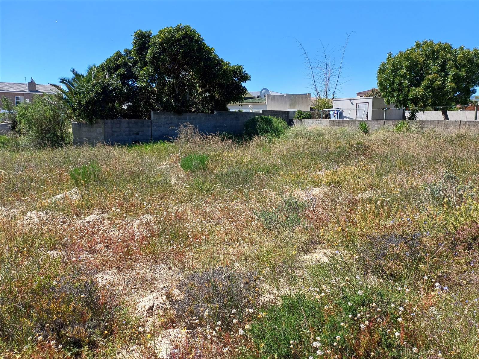 1109 m² Land available in Myburgh Park photo number 6
