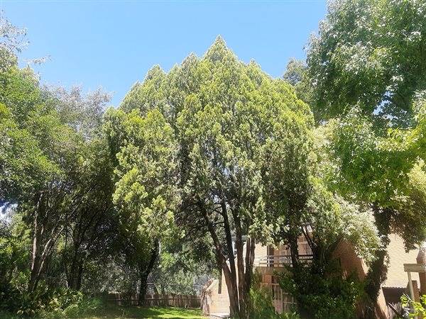 3 Bed Townhouse in Kroonstad photo number 6