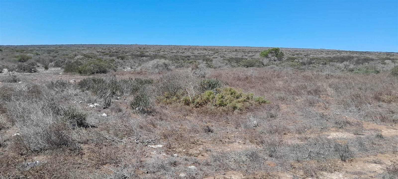 2.9 ha Land available in Jacobsbaai photo number 3