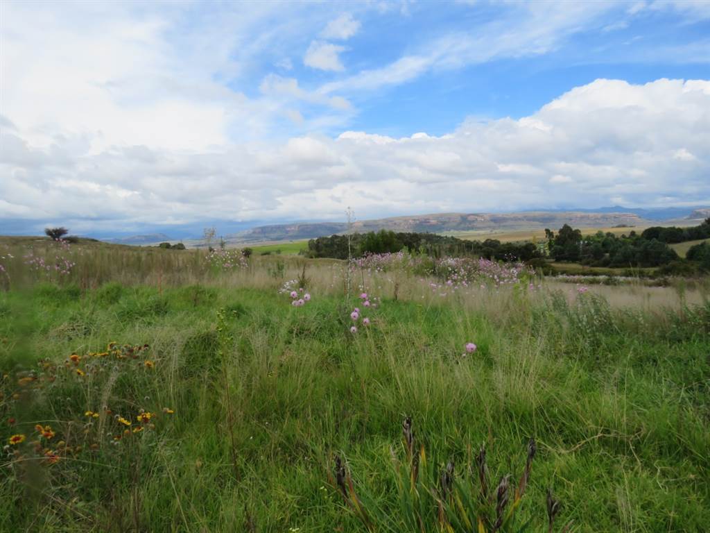1487 m² Land available in Fouriesburg photo number 3
