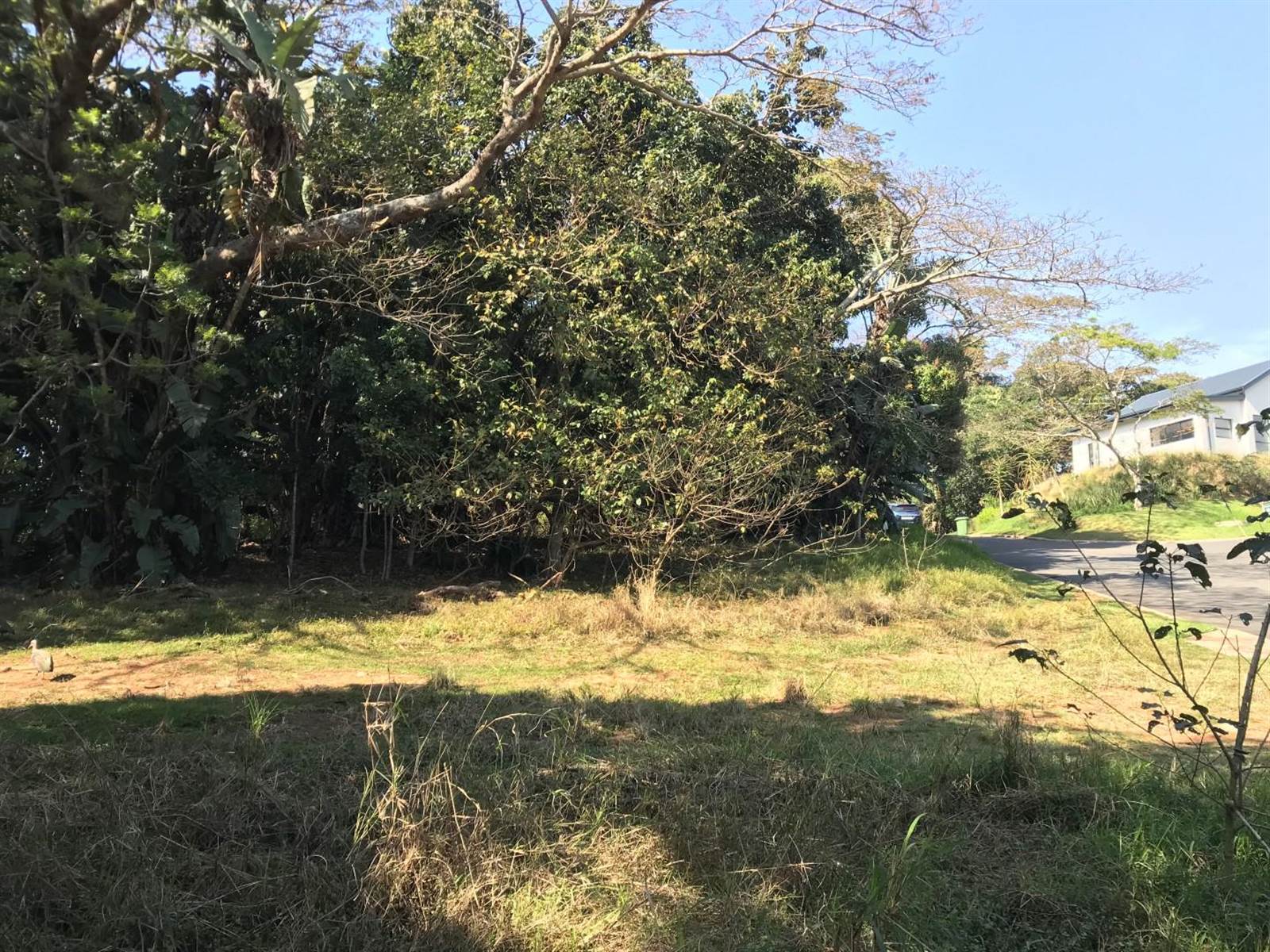1040 m² Land available in Simbithi Estate photo number 6