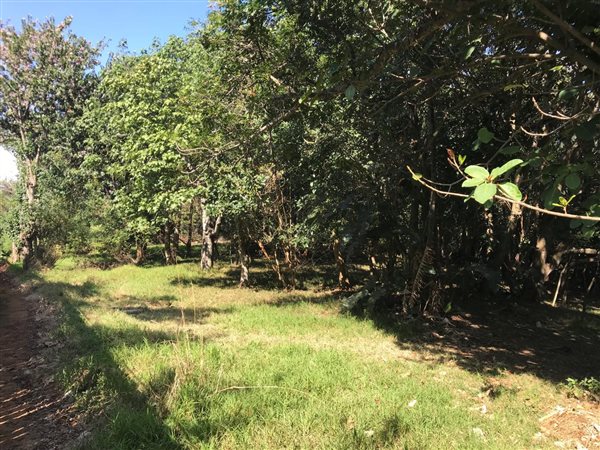 1040 m² Land available in Simbithi Estate