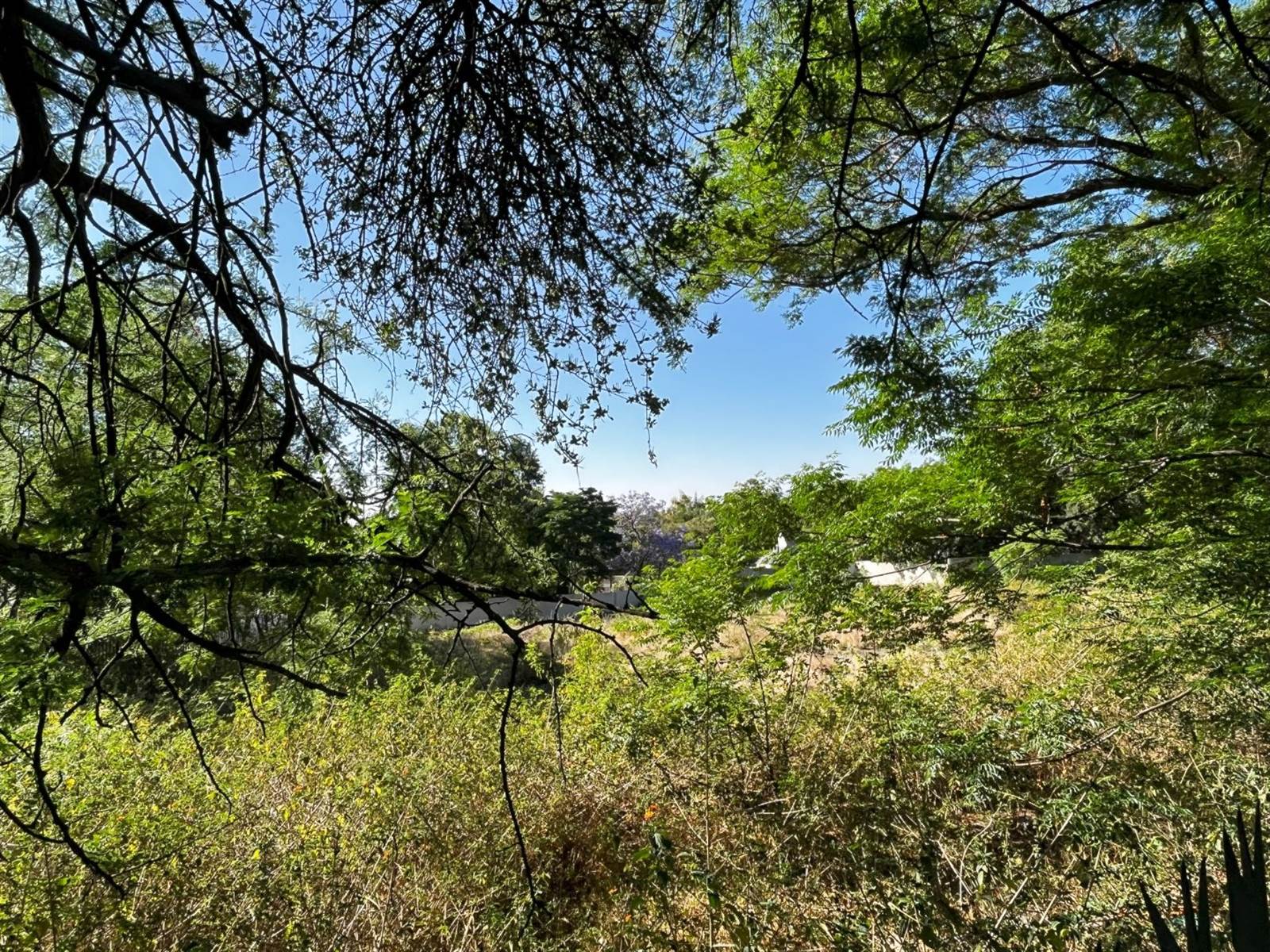 4356 m² Land available in Bryanston photo number 6