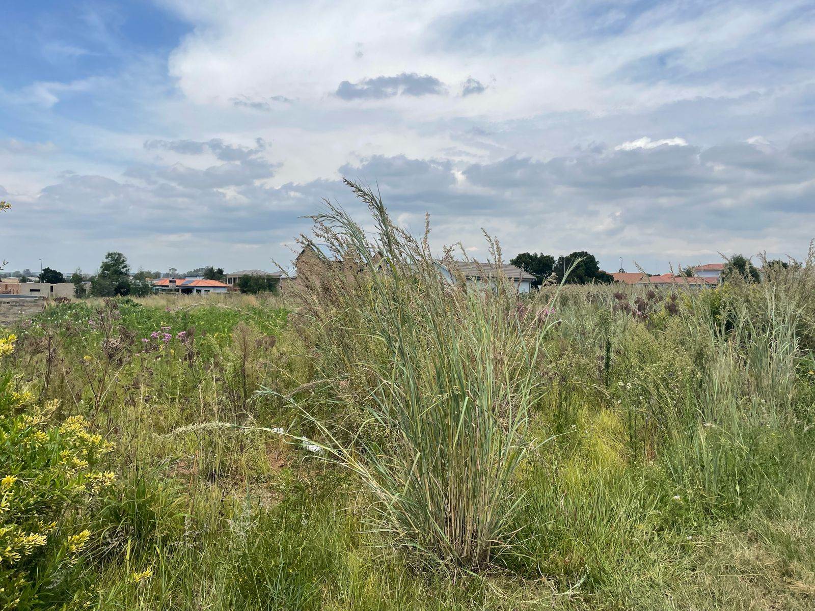 596 m² Land available in Rayton photo number 4