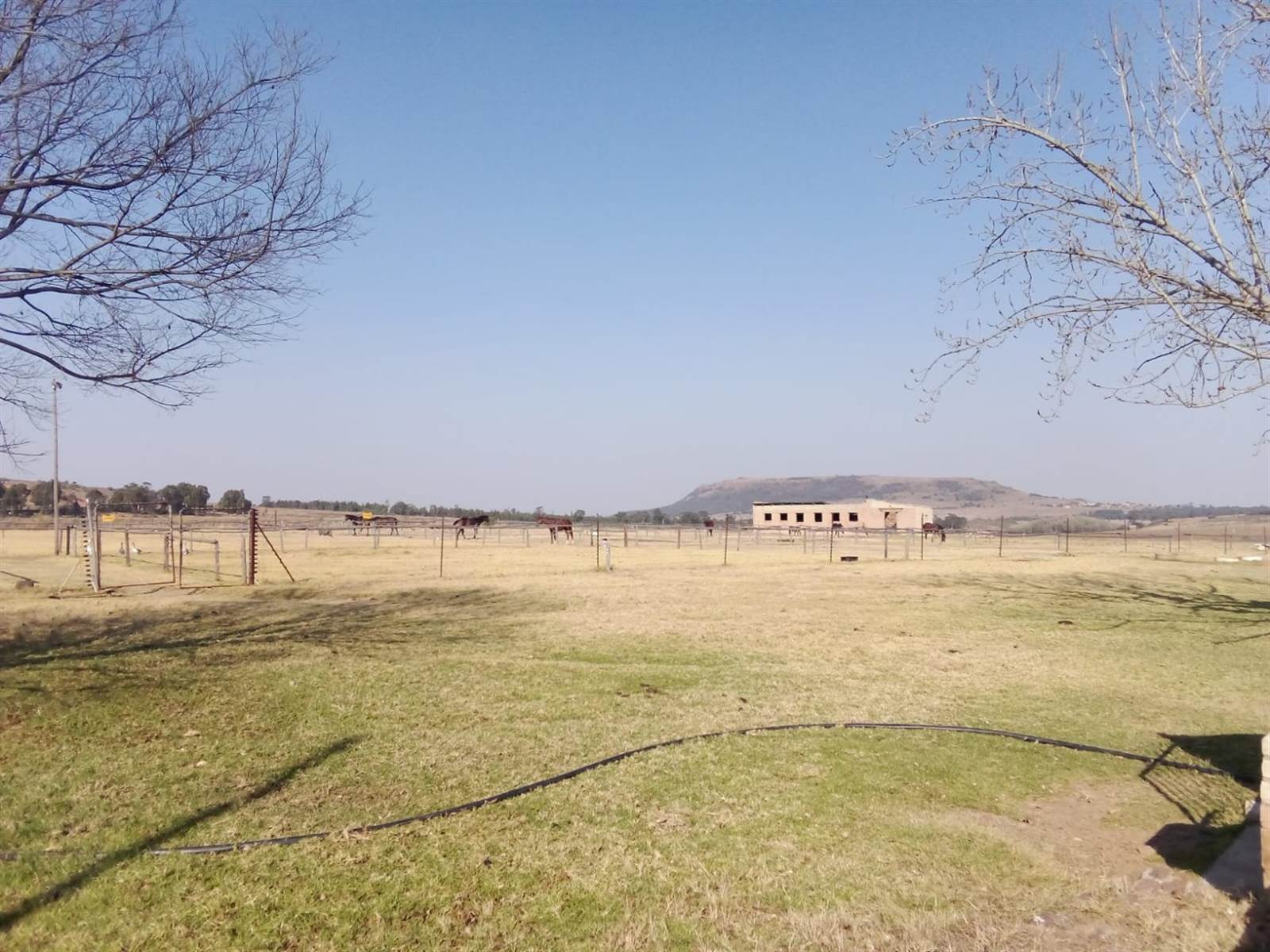 1 ha Smallholding in Hartzenbergfontein photo number 12