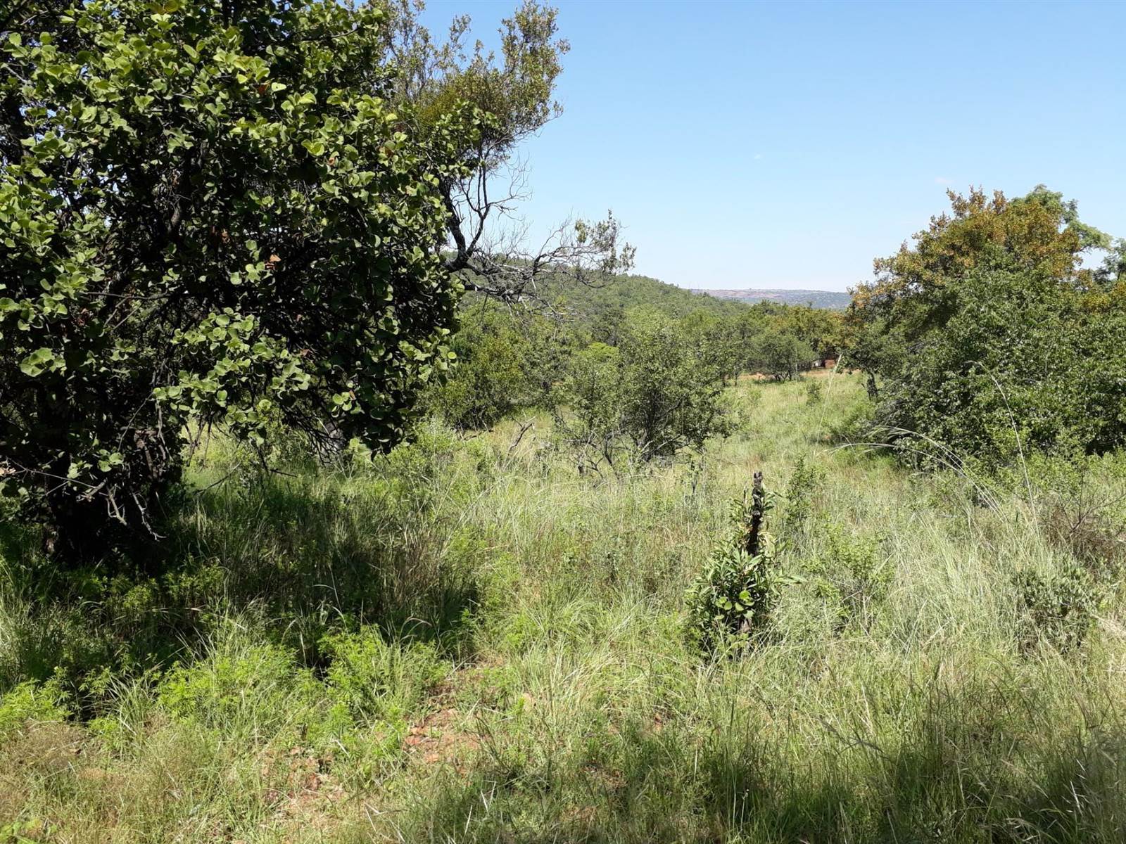 1325 m² Land available in Middelburg Central photo number 3