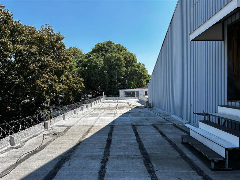2700  m² Industrial space in Wynberg photo number 11