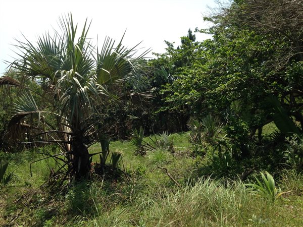 3595 m² Land available in Palm Beach