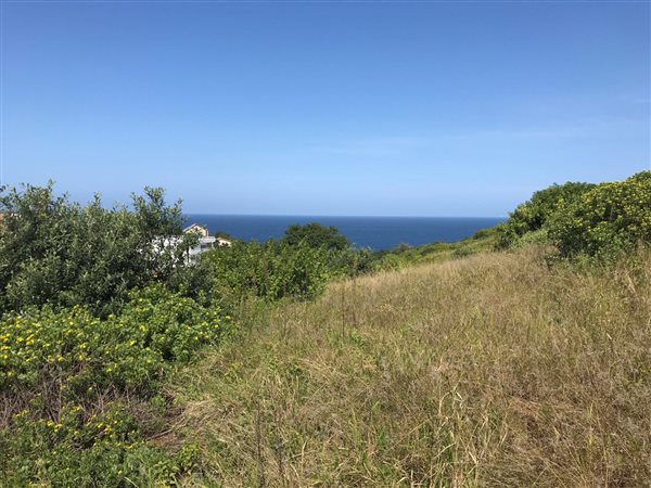 1307 m² Land available in Sheffield Beach
