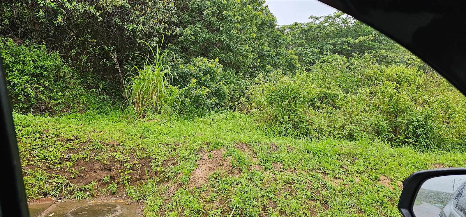 1240 ha Land available in Desainagar photo number 1