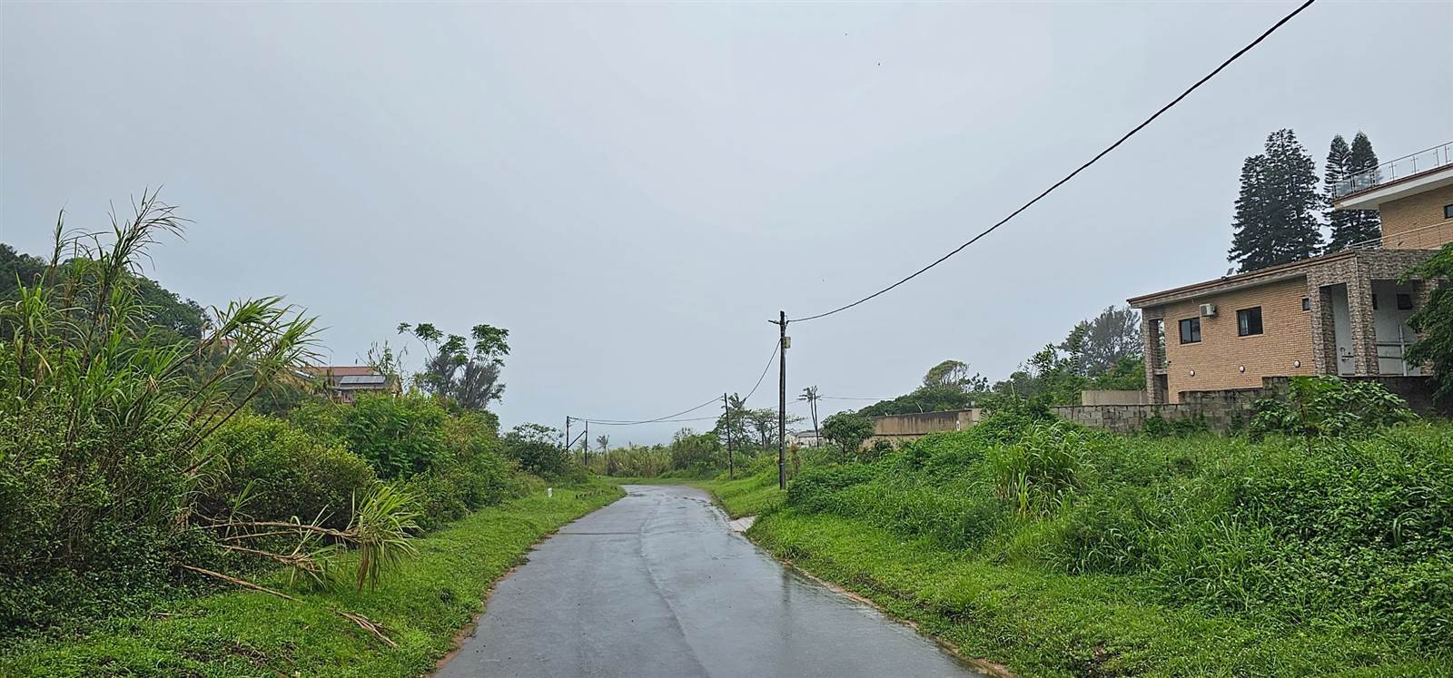 1240 ha Land available in Desainagar photo number 5