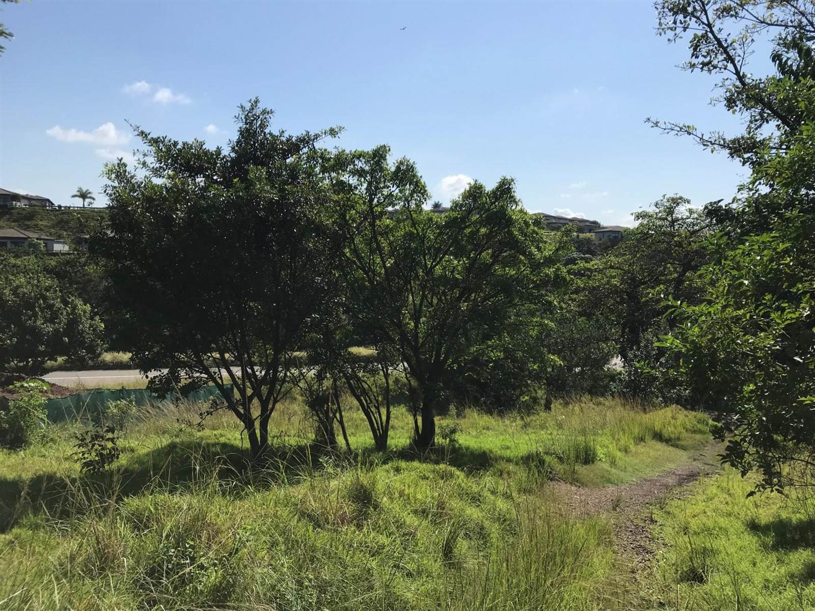 1760 m² Land available in Palm Lakes Estate photo number 1