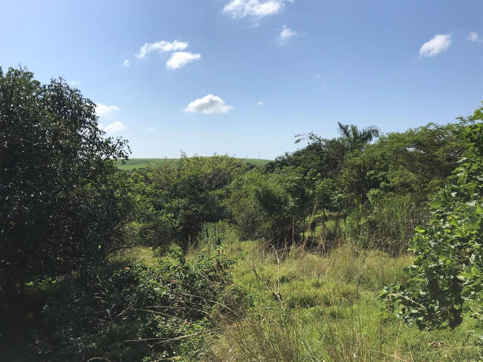 1760 m² Land available in Palm Lakes Estate photo number 14