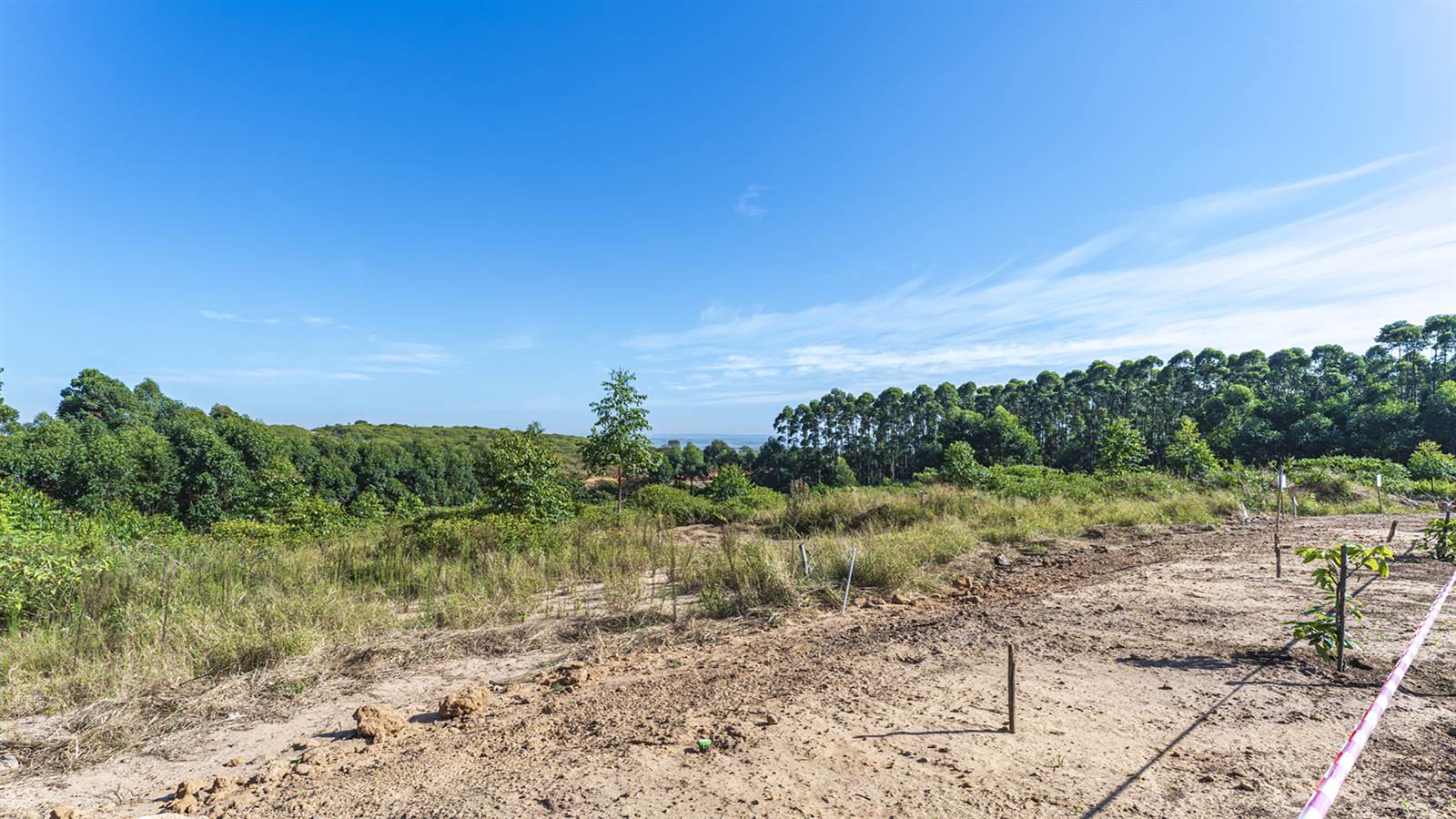 1068 m² Land available in Elaleni Coastal Forest Estate photo number 5