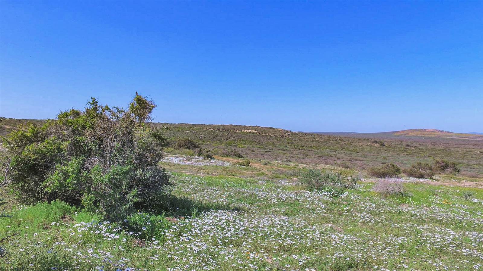 712 m² Land available in Langebaan photo number 7