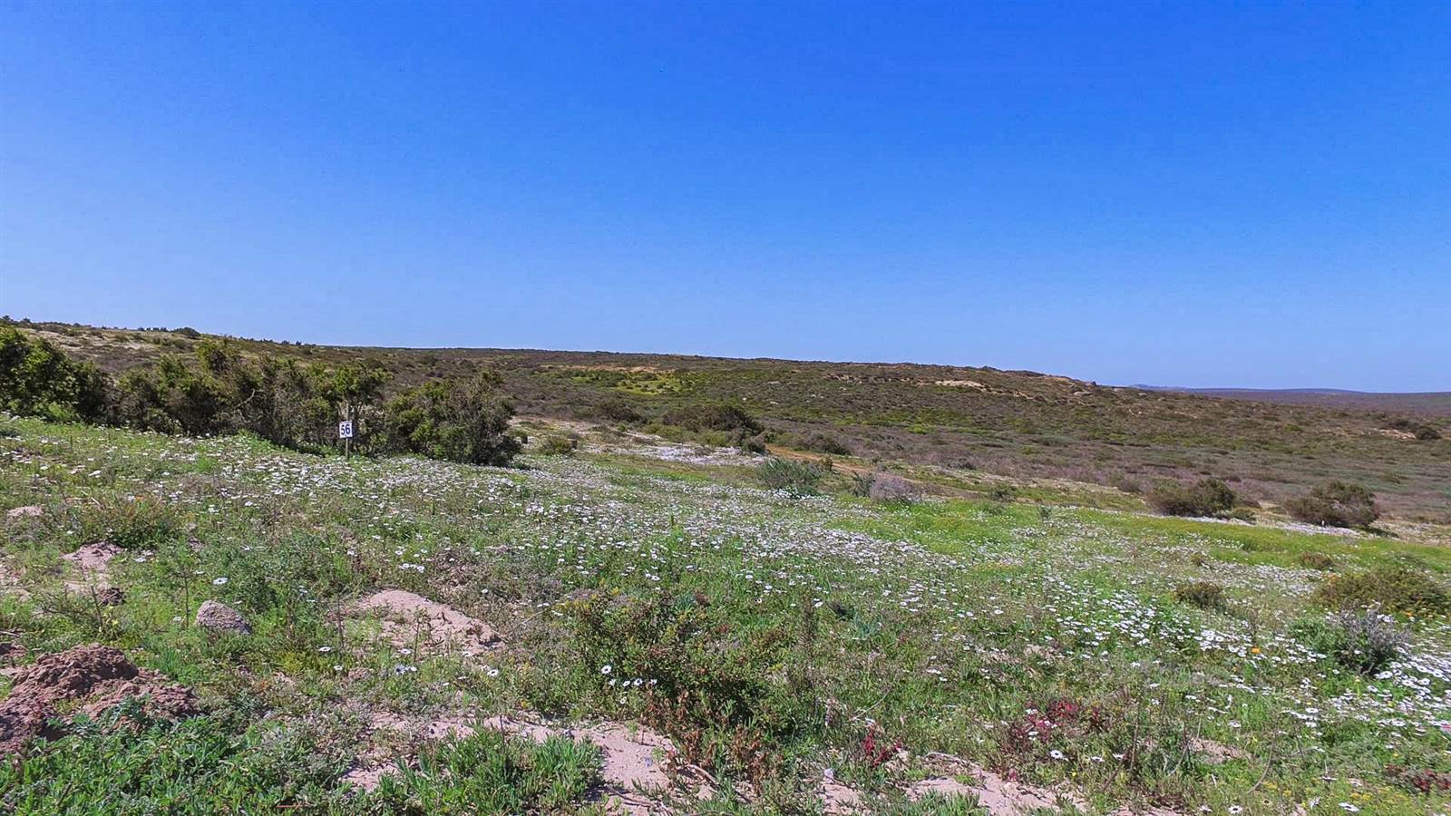 712 m² Land available in Langebaan photo number 5
