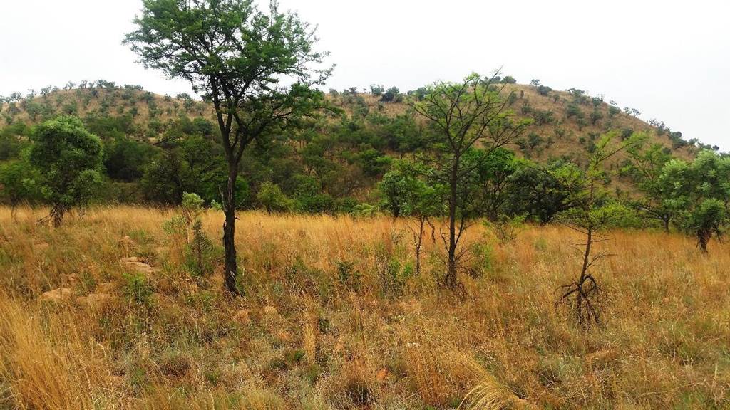 195 ha Land available in Hartbeespoort Dam photo number 7