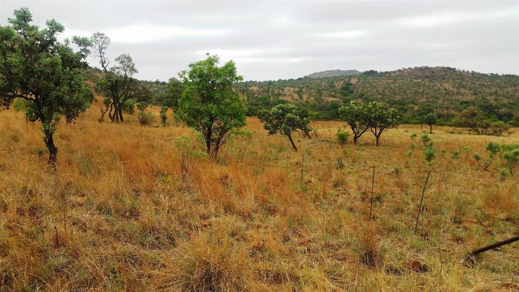 195 ha Land available in Hartbeespoort Dam photo number 9