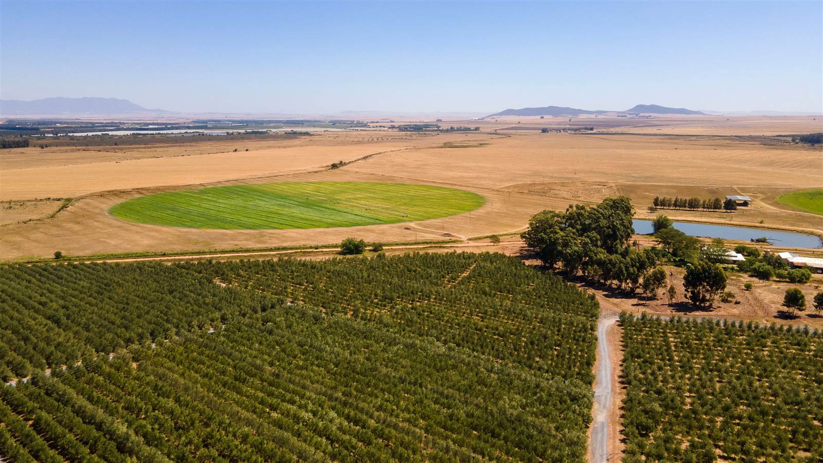 80 m² Farm in Tulbagh photo number 9