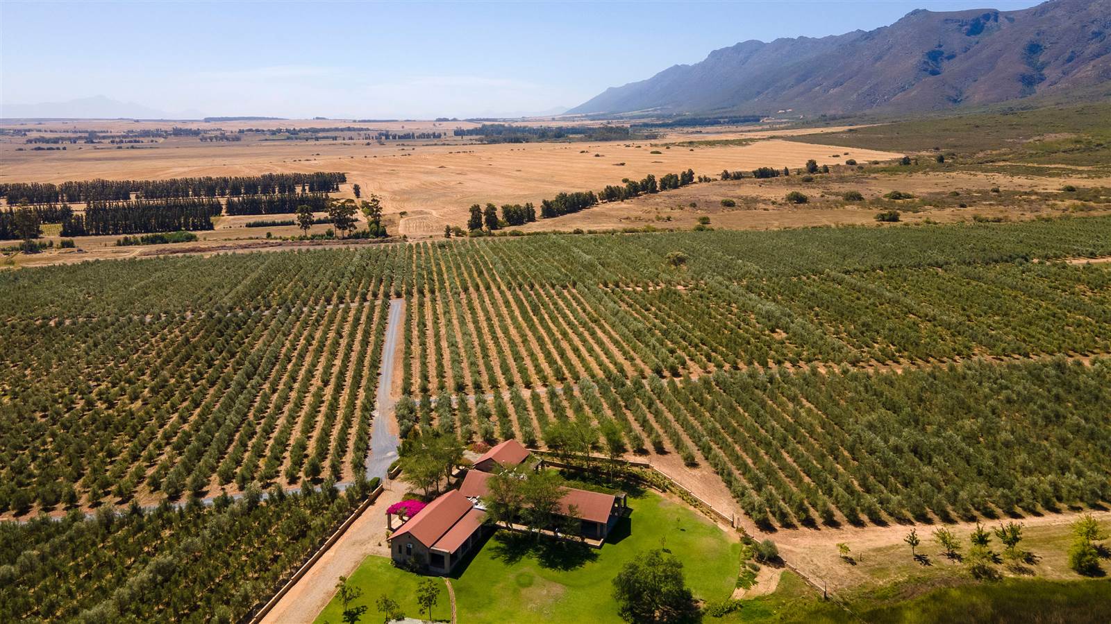 80 m² Farm in Tulbagh photo number 2