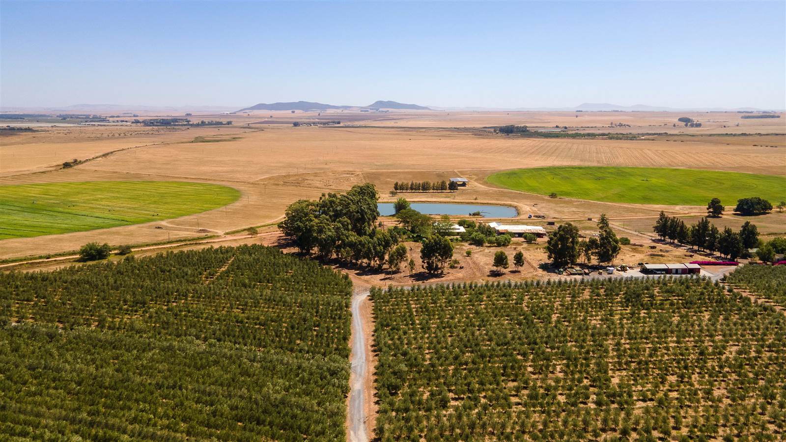 80 m² Farm in Tulbagh photo number 10