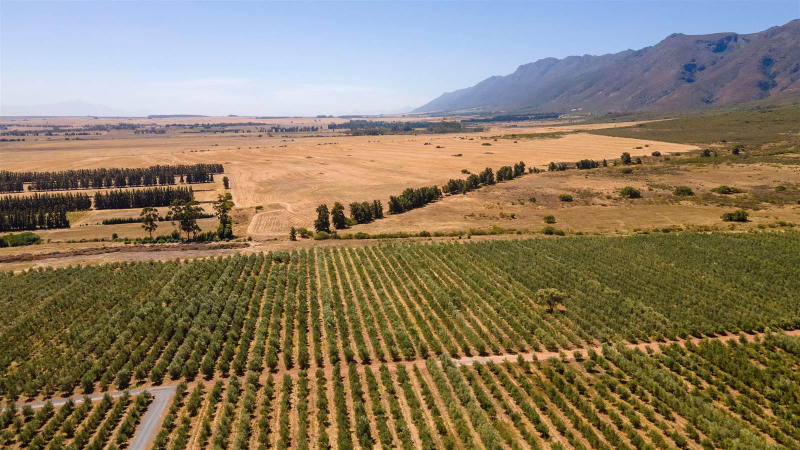 80 m² Farm in Tulbagh photo number 5