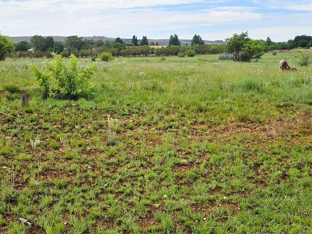 33 ha Land available in Zwartkrans photo number 3