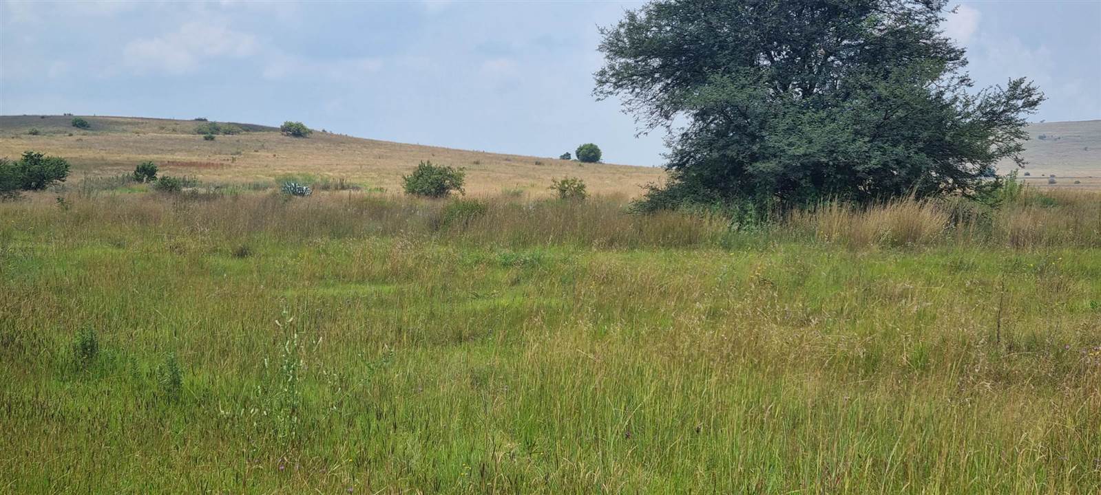 33 ha Land available in Zwartkrans photo number 16
