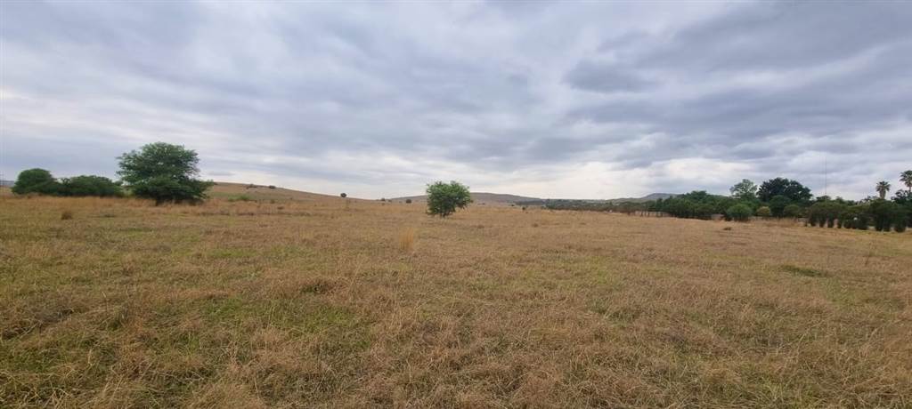 33 ha Land available in Zwartkrans photo number 19
