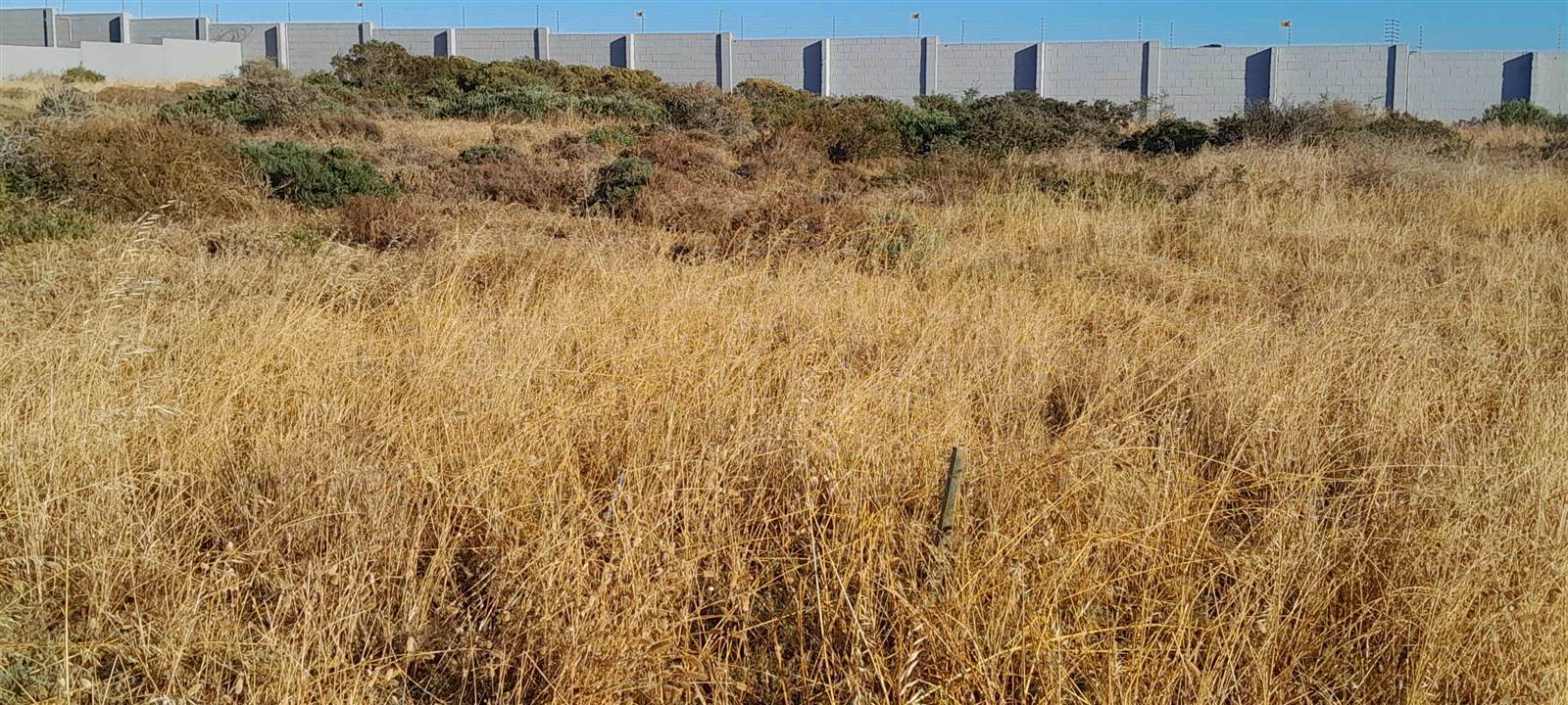 1041 m² Land available in Saldanha photo number 4