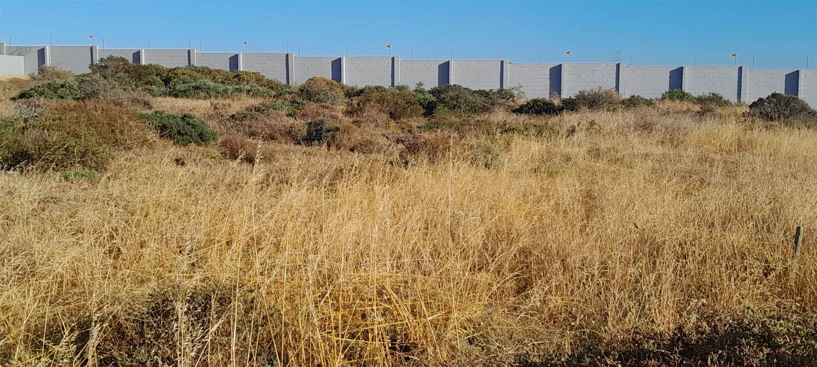1041 m² Land available in Saldanha photo number 3