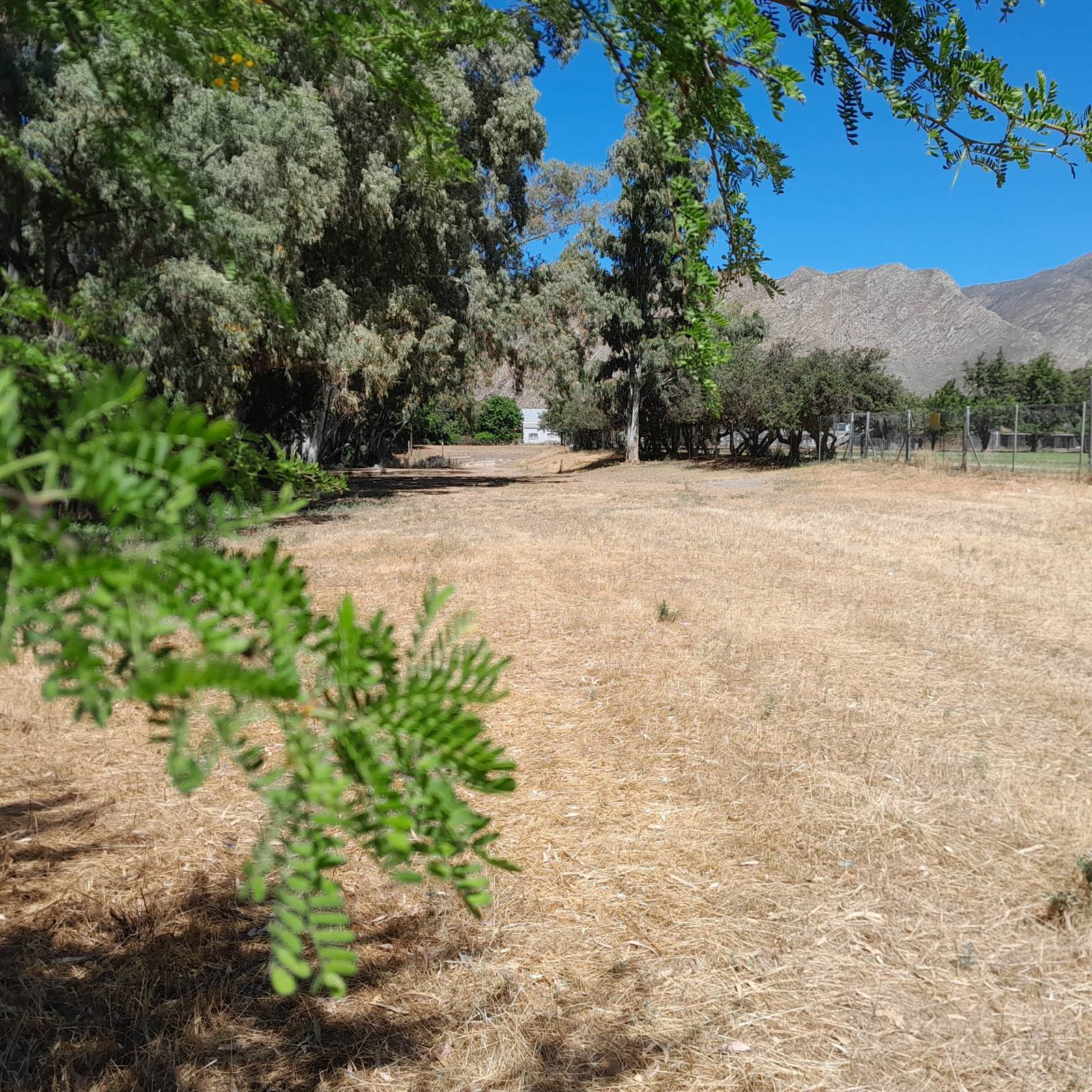 1.8 ha Land available in Montagu photo number 14