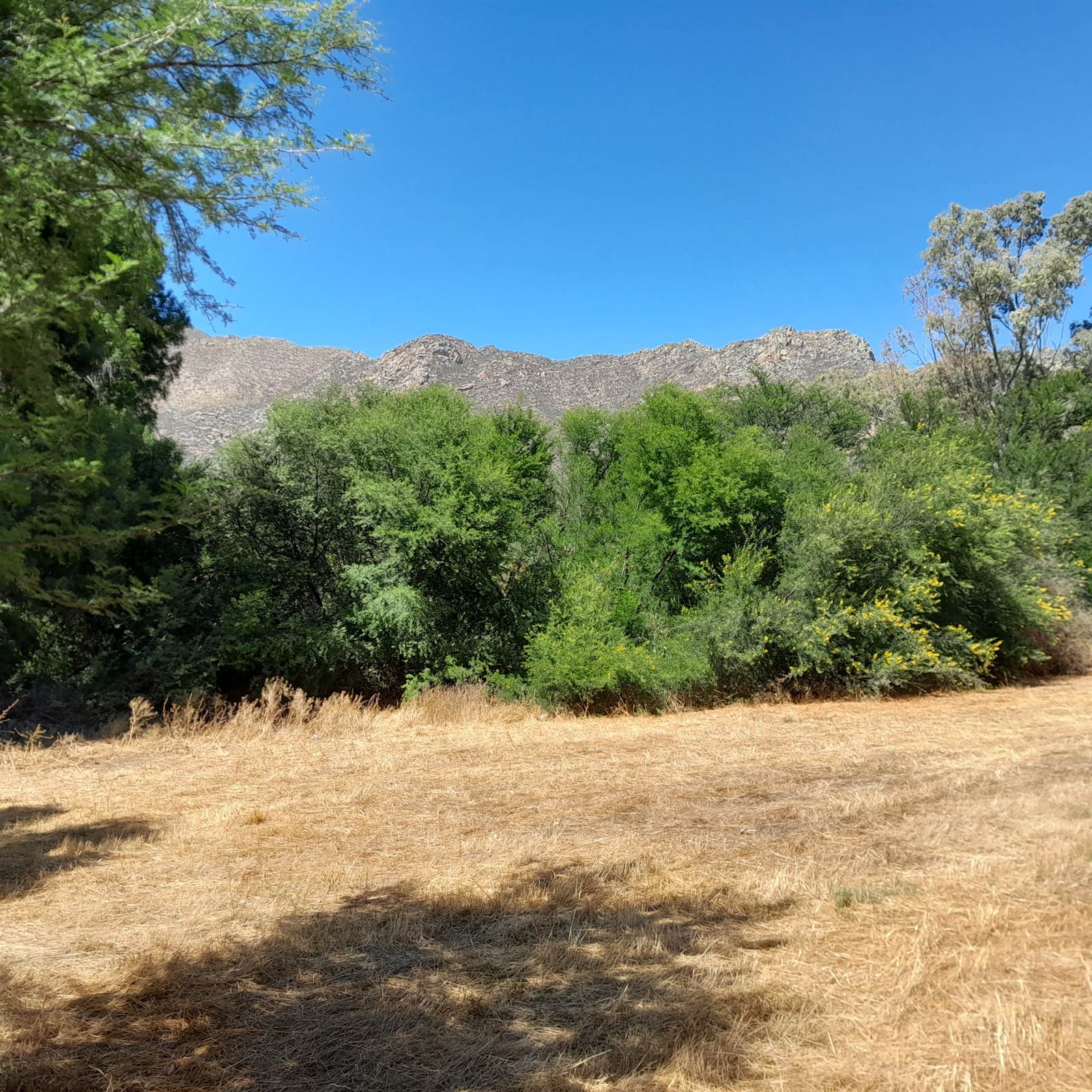 1.8 ha Land available in Montagu photo number 2