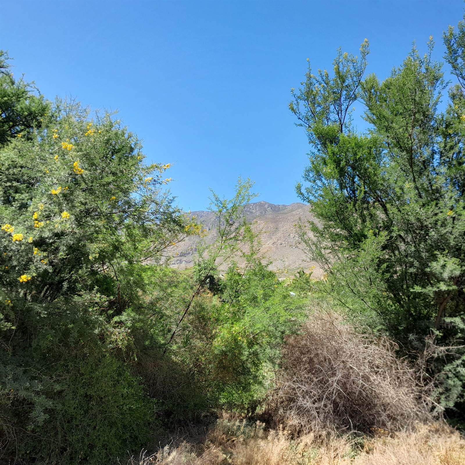 1.8 ha Land available in Montagu photo number 3