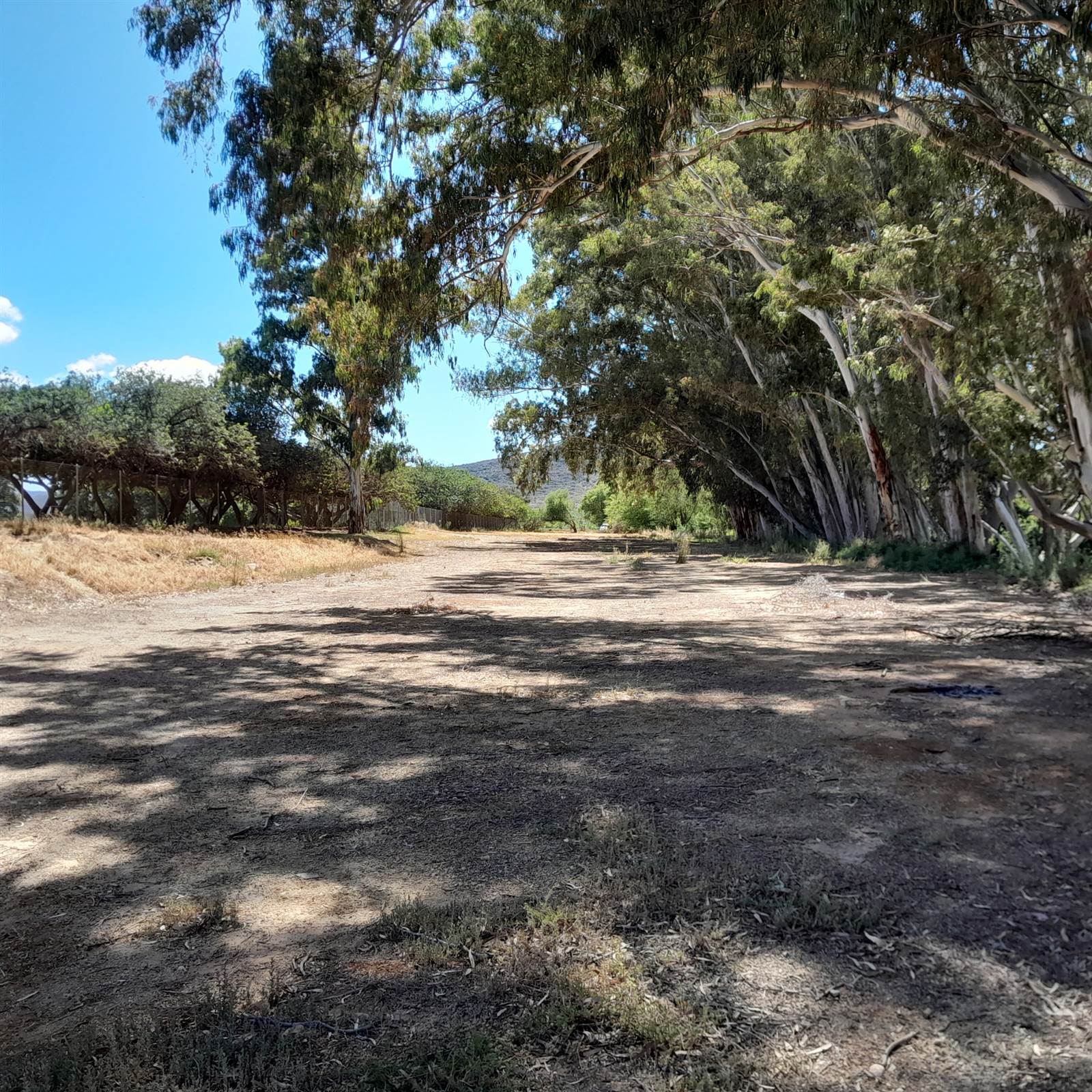 1.8 ha Land available in Montagu photo number 11
