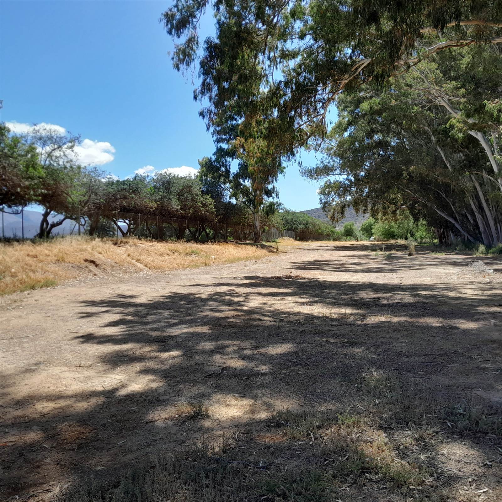 1.8 ha Land available in Montagu photo number 10