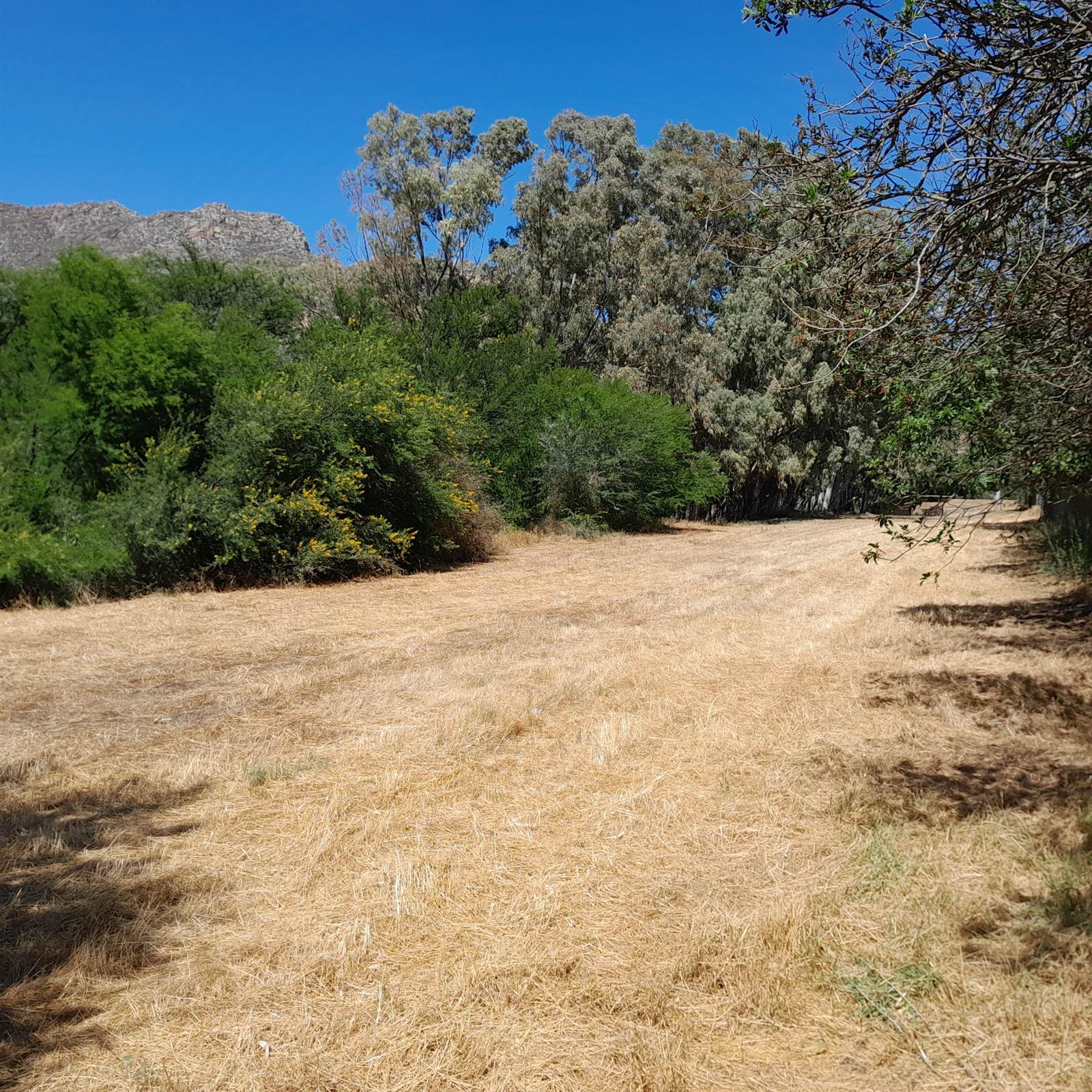 1.8 ha Land available in Montagu photo number 1