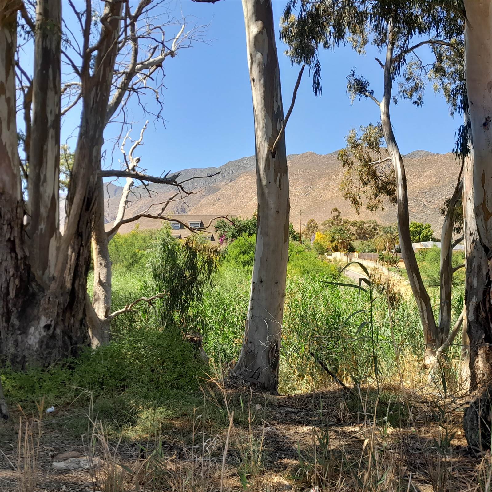 1.8 ha Land available in Montagu photo number 12