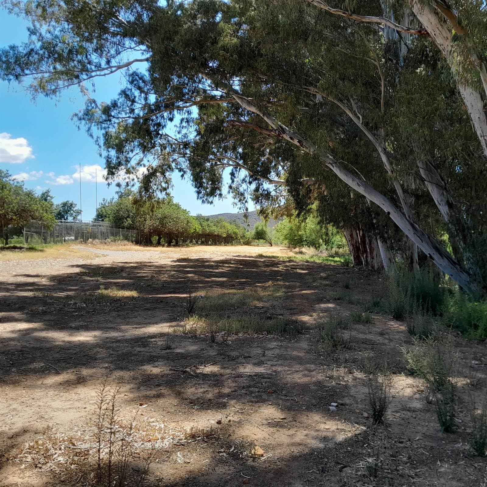 1.8 ha Land available in Montagu photo number 6