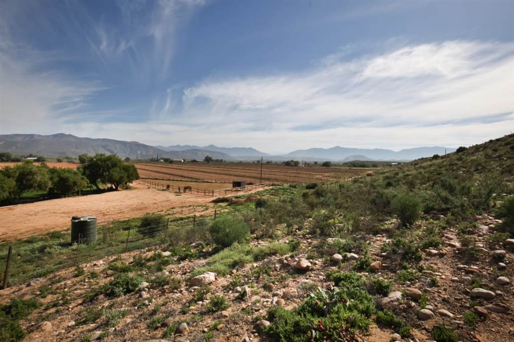 22 ha Farm in Calitzdorp photo number 28