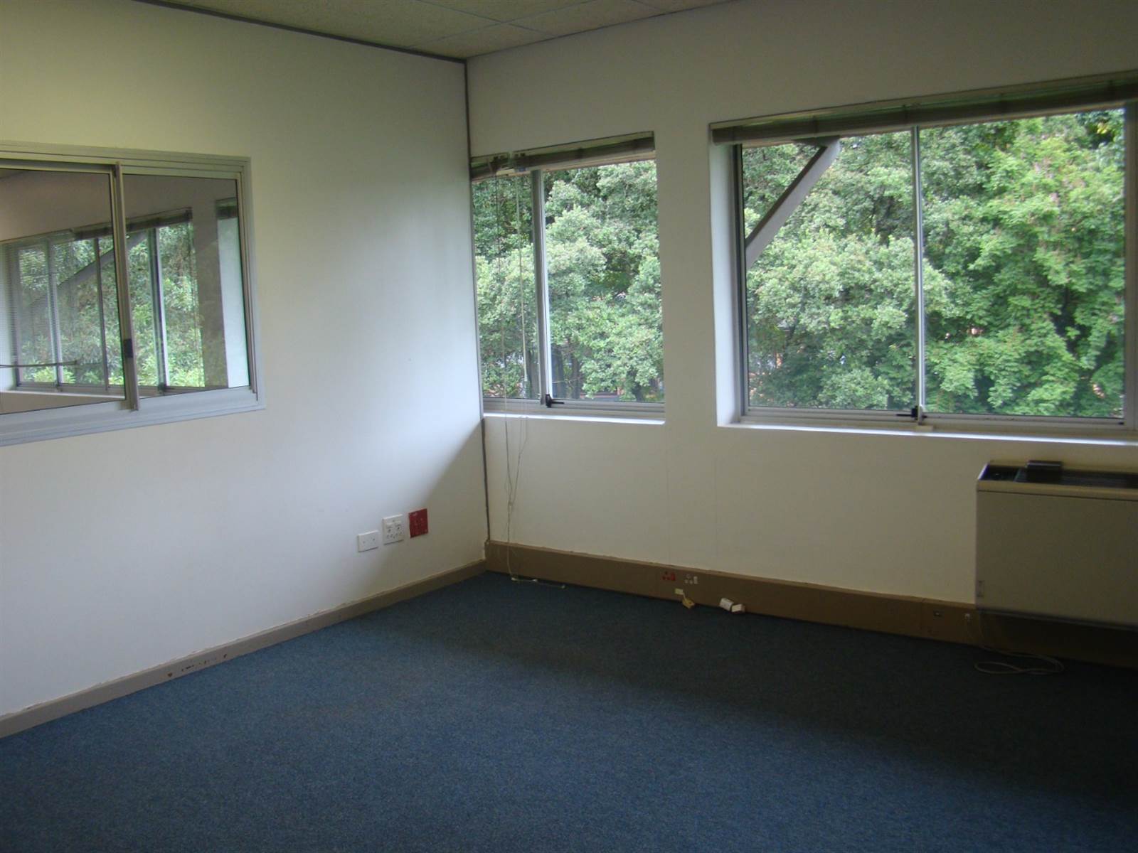 120  m² Commercial space in Chase Valley photo number 5