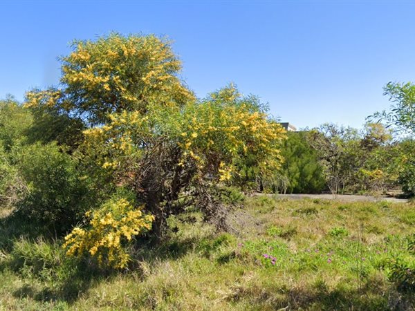 875 m² Land 875 m² Land