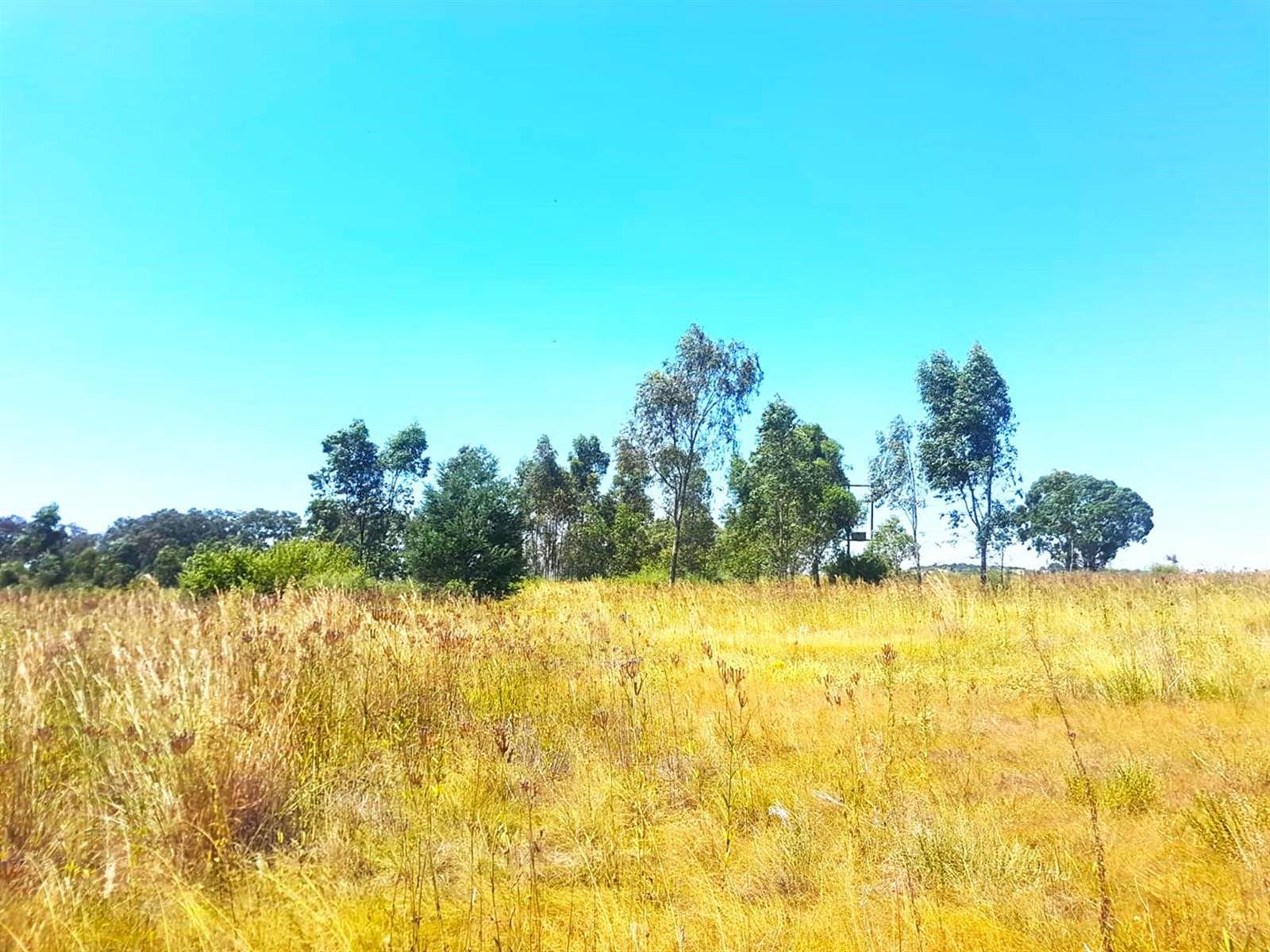 5237 m² Land available in Vaal Marina photo number 4