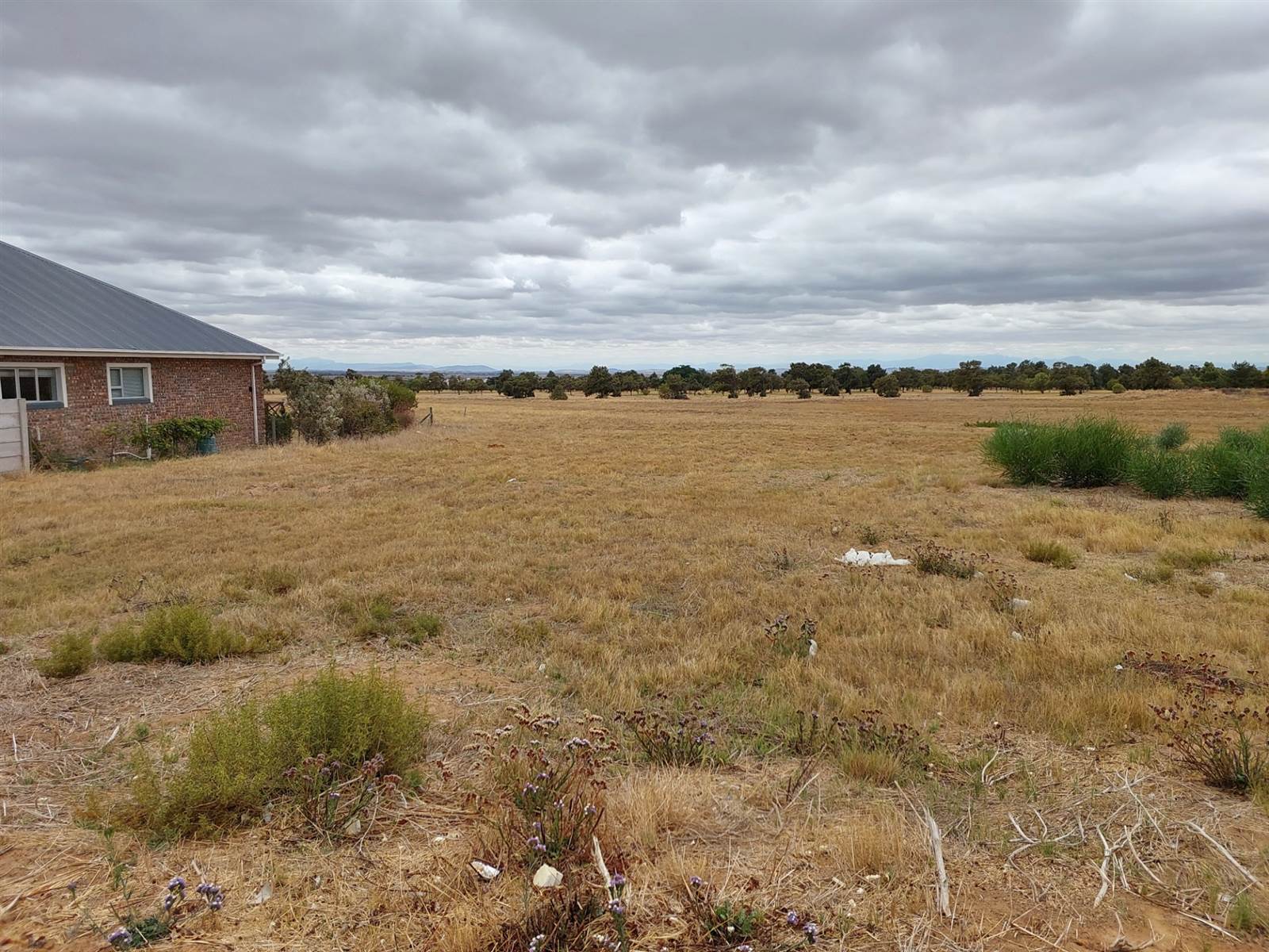 855 m² Land available in Darling photo number 5