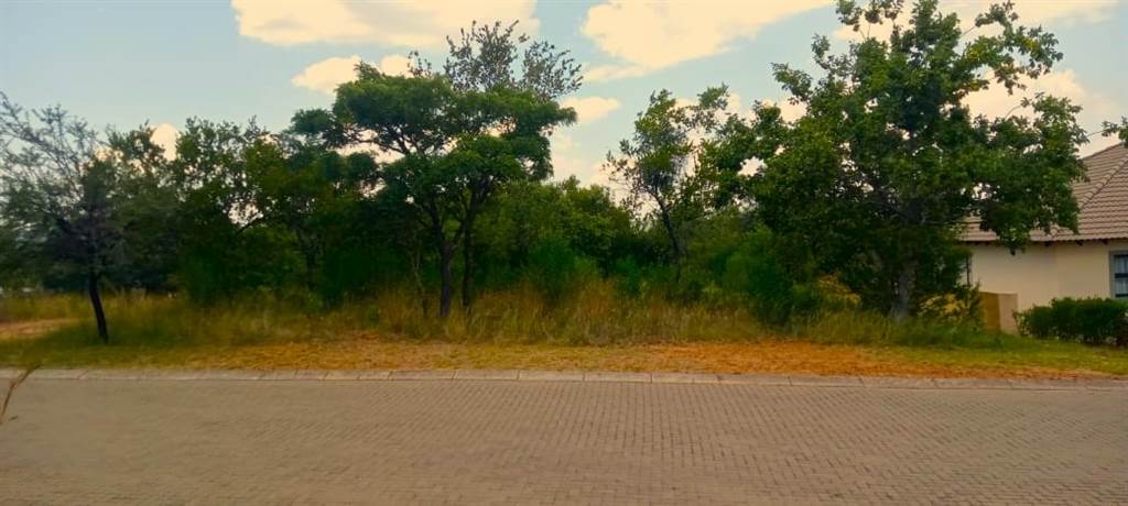 1233 m² Land available in Modimolle photo number 3