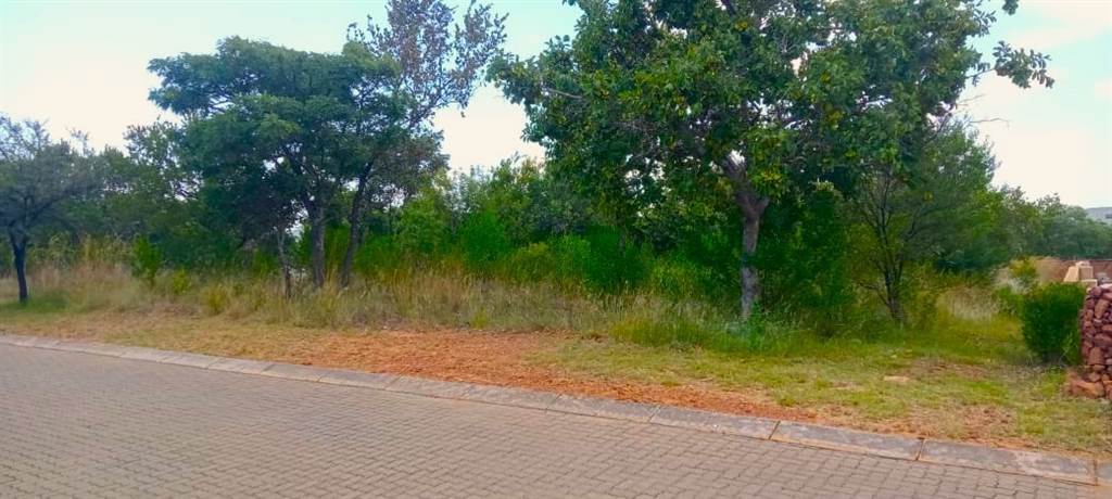 1233 m² Land available in Modimolle photo number 5